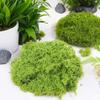 Césped de Musgo Artificial, Adornos para Arreglos de Rocalla de Micro Paisaje de Musgo Falso, Pavimentación de Jardinería de Césped para Bonsái, Paisajismo de Enverdecimiento