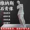 Estátua de Gesso de Davi Estátua de Gesso Ornamentos Arte Ensinamento Consciente Vênus Xiaowei Pirata Decorações Europeias e Americanas Escultura Ornamentos