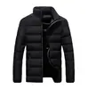 Chaqueta de Algodón para Jóvenes Ajuste Delgado Invierno 2021 Cuello Alto Algodón Estudiante Casual Corta Engrosada Moda Chaqueta de Algodón Chaqueta de Algodón a la Moda