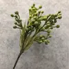 Algas Pinus de Fruta Coral Sul-Africana Simulada Coral Pequeno Plantio de Cabelo Paisagismo Decorativo Flor de Varanda para Arranjo com Frutas