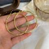 Anillo de Oreja Grande de Metal con Diseño de Nicho Simple para Mujer Otoño e Invierno Nuevo Moda Elegante Celebridad de Internet Elegantes Pendientes Exagerados