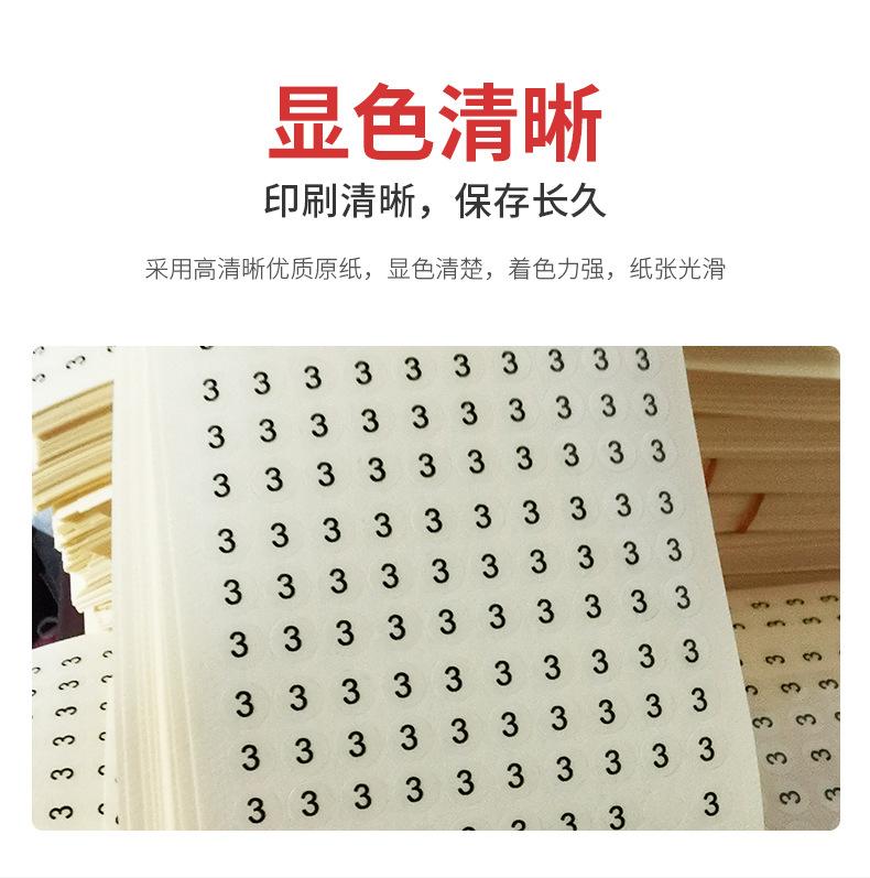 透明龙_05.jpg