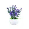 Planta artificial de narciso verde em vaso, mini bonsai para decoração de janelas e interiores, decoração de recepção, decoração de plantas verdes no atacado.