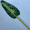 Atacado simulação planta folha de tartaruga folha brasileira folha orelha de elefante planta decoração de parede planta verde simulação de casa folhas