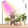 Lâmpada de Planta LED Ajustável Lâmpada de Crescimento Anel de Anjo Suculenta Vermelho Azul Luz Quente Espectro Completo Flor Planta Verde Luz de Preenchimento
