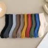 Calcetines de invierno para mujer con forro polar gruesos cálidos calcetines de rizo calcetines de media pantorrilla para mujer calcetines para el suelo de color liso combinan con todo calcetines de toalla