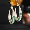 Brincos de Argola Coloridos com Zircônia Inlaid de Artesanato Pesado Luxuosos Brincos Circulares Statement Exagerados Brincos Cor de Doce S925 para Mulheres