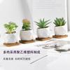 Bonsái de Planta Verde Nórdica Flor Falsa Decoración de Interior Decoración de Escritorio Biónica Suculenta Pequeña Planta en Maceta