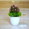 Decoração Criativa para Casa Enfeites de Flores Planta de Simulação Bola de Grama em Vaso Bonsai Árvore Pequena Bola Mini Bola de Cerejeira Bola de Neve