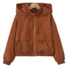 Jaquetas Novas Estilo Primavera e Outono para Meninos com Capuz e Zíper, Roupas Infantis Estilo Esportivo e Casual da Moda Atacado
