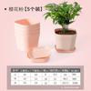 Jardinería Semillero Maceta Pequeña de Plástico para Flores Blanca Cuadrada Base Maceta Escandinava Simple Plástico Engrosado Maceta para Suculentas