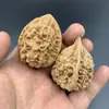 Nogueira Colecionável: Estilo Chapéu Oficial, Leão Branco, Alto Polimento, Pagode de Quatro Andares, Pedra do Sul de Xinjiang, Espiga de Trigo, Cabeça de Tigre, Disco de Moagem, Cabeça de Leão. Atacado