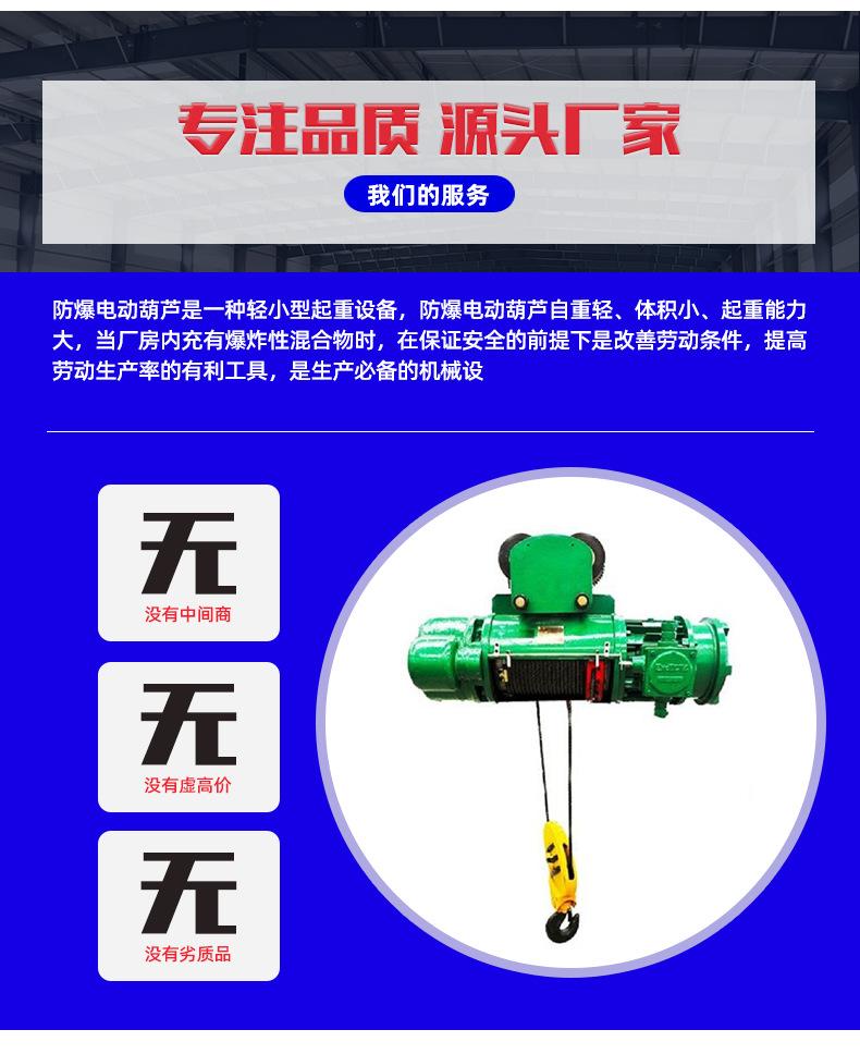 3防爆电动葫芦1_08.jpg