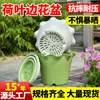 Vaso de Flor de Plástico Elevado Respirável com Borda Franzida, Controle de Raízes, Resistente à Pressão, Resistente a Quedas, Novo, Vaso de Flor de Resina Espessada