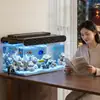 Fornecimento exclusivo transfronteiriço de pequenos aquários, conjunto completo com tampa, aquário ecológico transparente popular para desktop para uso doméstico, aquário de plástico para peixes dourados