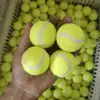 20 Paquetes Envío Gratis Pelota de Entrenamiento de Tenis para Niños Perros Duradera Resistente a Mordeduras Tenis Principiante Alta Elasticidad Práctica Masaje Pelota de Fitness