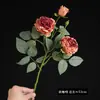 Arranjo de Flores Secas Estilo Pintura a Óleo Vintage com Borda Queimada de Rosa e Lótus para Sala de Estar, Mesa de Jantar, Gabinete de TV, Decoração de Flores, Peônia