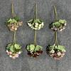 Ramo Pequeño de Quince Cabezas de Rosa Simulada Ramo Falso Flor de Seda Artificial Acabada Flor de Piso para Boda Flor de Plástico Arreglo para Boda