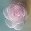 Artesanato DIY Flor Bordada à Queima Borda Flor Artesanato Estilo Coreano Ornamento de Gaze Acessórios Acessórios para Roupas Quinze Peças Flores de Gaze Grampos de Cabelo de Neve Nenhum