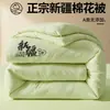 Colcha de invierno de gasa de doble capa grado A, color liso, colcha de algodón de Xinjiang, colcha de primavera y otoño, núcleo de colcha, colcha para aire acondicionado, colcha para todas las estaciones, envío directo de una sola pieza