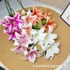 Lírio de Três Cabeças Flor Impressa em 3D Decoração de Mesa de Sala de Jantar de Sala de Estar Arranjo de Flores de Parede de Fundo Flor Artificial Jardim de Monet Fundo 3D Decoração de Casamento