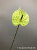 Simulação PU único vermelho médio palma mini pequena Guanyinlian segurando flor material adereços de tiro flores de mesa para casa