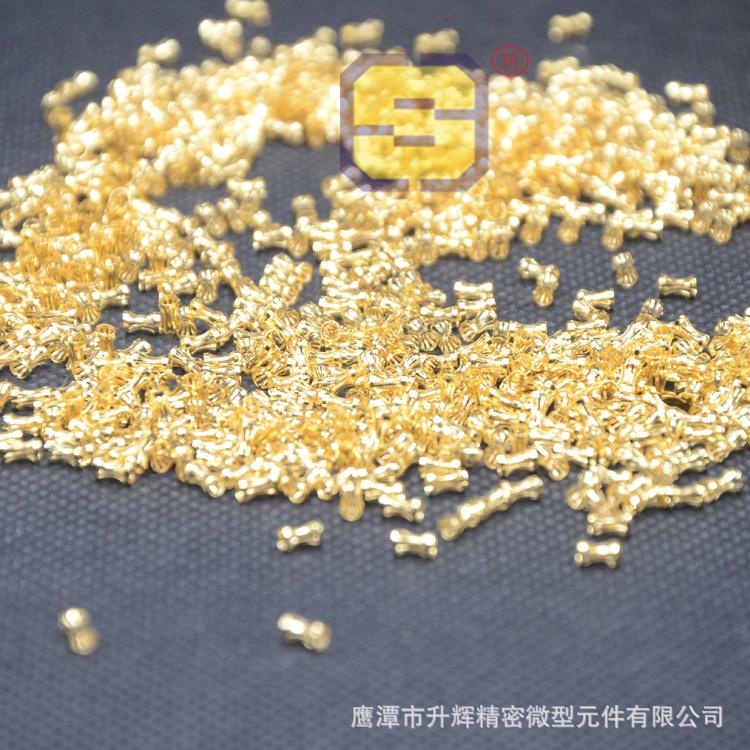 DSC_3010 副本