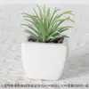 Suculentas Simuladas Personalizadas Cerámica Bonsái Plantas Verdes Escandinavas Adornos Hogar Interior Sala de Estar Flores Falsas Suculentas Plantas en Maceta