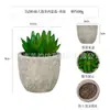Planta en Maceta Artificial Mini Transfronteriza Hecha a Medida Adornos de Escritorio Bonsái Suculento de Simulación Flor Artificial Planta Verde Pulpa Suculenta Planta en Maceta