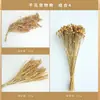 Comida para hámsteres grano lecho para mascotas mijo trigo avena comida para mascotas cáscaras de grano amarillo decoración de nido para mascotas comida para hámsteres