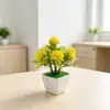 Mini 7 Hierba de Peonía Transfronteriza No. Maceta Cuadrada 1248 Bonsái Oficina Hogar Escritorio Flor de Simulación Planta Pequeña en Maceta Adorno