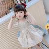 Vestido de Verão Manga Curta para Meninas Bebê Celebridade da Internet Marca Moderna Infantil Coreano Floral Plissado Chiffon Vestido Princesa Bebê