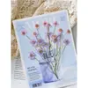 Manzanilla Teñida con Ramas, Flores Secas Multicabezales, Flores Prensadas, Kit de Materiales para Espécimenes de Plantas DIY, Scrapbooking y Resina Epoxi