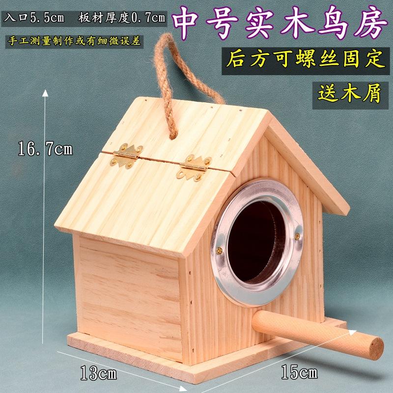 中号