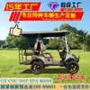 Carritos de Golf Eléctricos, Vehículos Turísticos, Vehículos para Turistas en Lugares Pintorescos, Vehículos de Recepción de Hotel, Vehículos de Patrulla Todoterreno para Campos de Golf, Calidad de Exportación