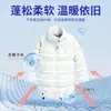 Detergente para Lavar Chaquetas de Plumas, Agente de Limpieza Antibacteriano, Suave y Esponjoso para Ropa de Algodón Lavable a Máquina, Elimina Manchas, Lava Edredones, Ropa del Hogar
