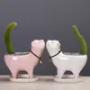Suministro Jardinería Transfronteriza Amazon Cola de Gato Cactus Carnoso Maceta de Cerámica Dibujos Animados Lindos Adornos de Personalidad