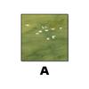 Pintura Decorativa Antigua Verde Mariposa para Sala de Estar Pintura Colgante para Pared de Fondo de Sofá Francés Arte de Nicho Pintura para Dormitorio Junto a la Cama