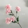 Novas Flores Artificiais com 5 Cabeças, Peônias Chanel para Arranjos de Casamento, Decoração de Sala de Estar em Casa, Atacado de Comércio Exterior Transfronteiriço