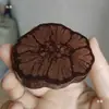 Posavasos, Rodajas de Madera de Ratán Absorbentes de Agua y Aislantes, Manteles Individuales, Bases de Madera para Teteras de Ceremonia del Té, Bases de Madera con Micro-Paisaje de Flores y Hierbas Engrosadas