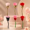 En Stock Cruce de Fronteras Brochas de Maquillaje con Forma de Rosa, Brochas para Polvos, Brochas para Rubor, Brochas para Polvo de Uñas, Herramientas de Belleza Multifuncionales Venta al por Mayor