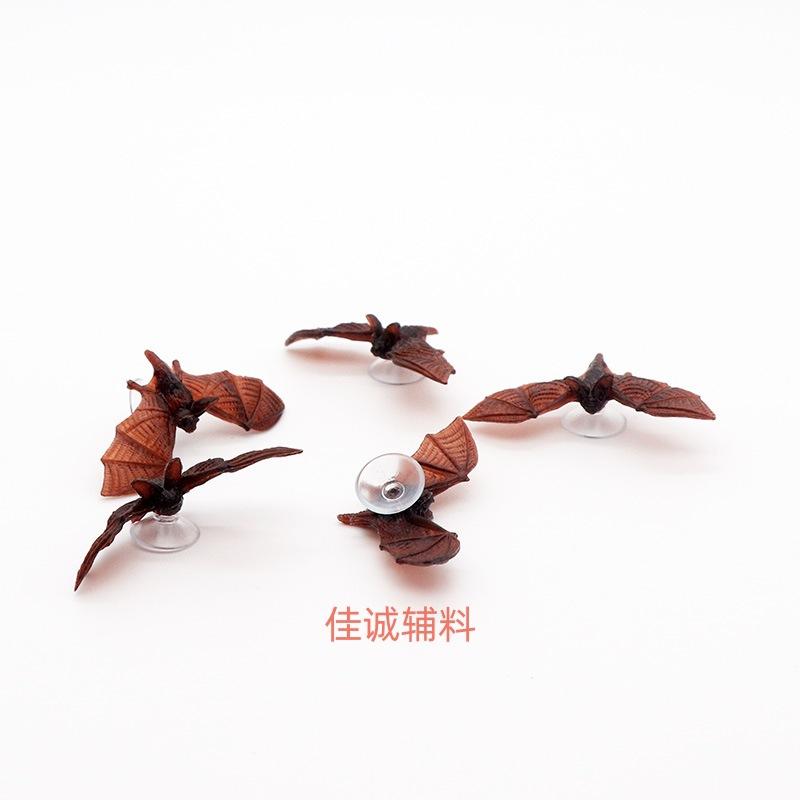 吸盘蝙蝠.jpg