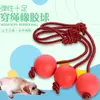 O brinquedo de roer para pets mais vendido da Amazon com corda, bola de borracha para treinamento de cães, bola de roer durável, bola elástica sólida