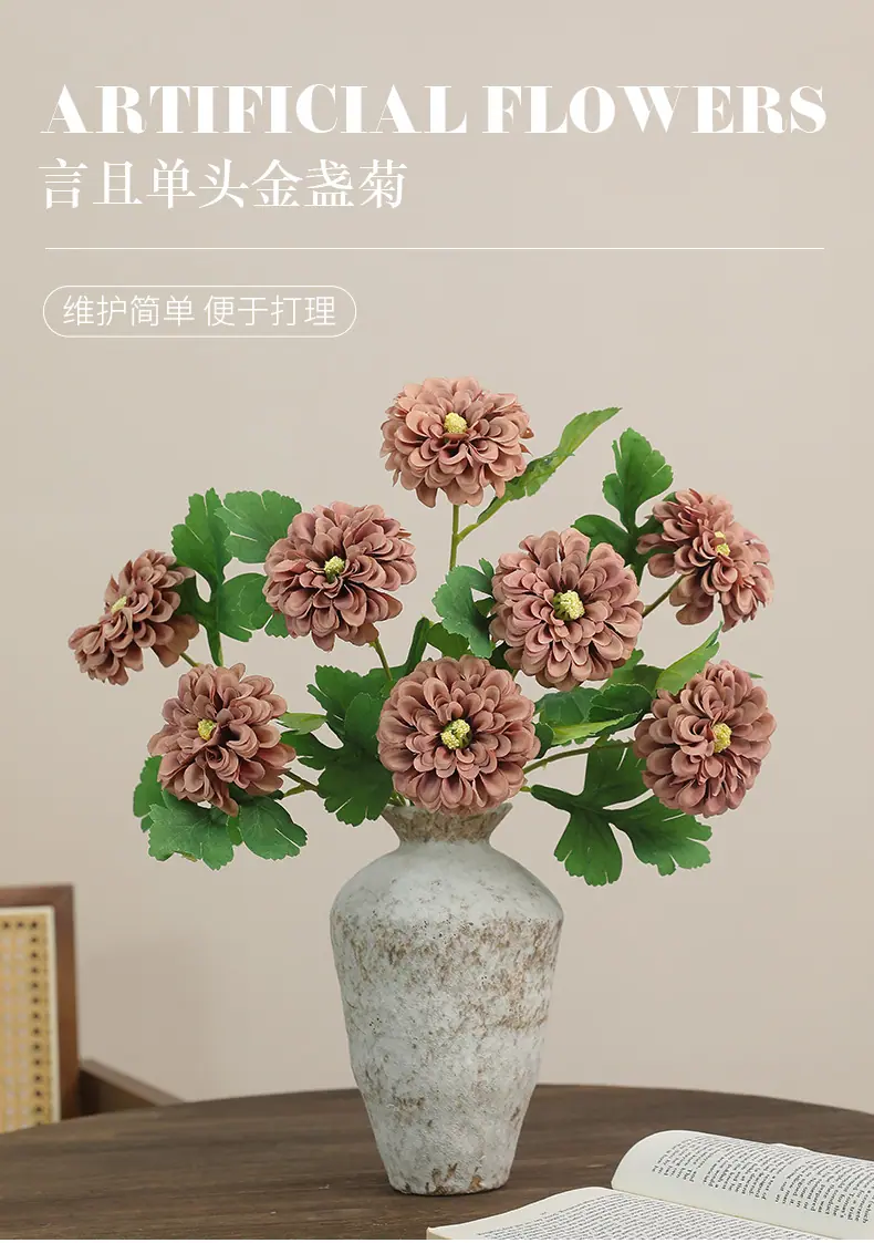 言且单头金盏菊_01.jpg