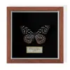 Especimen de Mariposa Real Colgante de Madera Estilo Nórdico Simple Moderno Regalo de Cumpleaños Marco de Fotos de Madera Simple