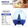 Incubadora de 8 huevos, adecuada para incubar huevos de pollo, pato, ganso y codorniz; una incubadora pequeña, de tamaño doméstico, para uso doméstico y exportación transfronteriza