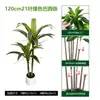 Árvore Artificial Madeira Brasileira Planta em Vaso Planta Artificial Verde Ipê Roxo Árvore Artificial de Chão Bonsai Árvore Artificial de Sangue de Dragão de Alta Qualidade Árvore de Ipê Vermelho