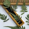 Helecho Rocoso Maquillaje Seco Planta Especimen Flor Seca Estampado Carcasa de Teléfono Móvil Marcador Hoja Real Flor Real Pegatina de Hoja