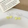 Coleção de Brincos Fresca e Colorida para Primavera e Verão, Versátil para o Dia a Dia, Design Único e Estiloso, Brincos Personalizados para Mulheres