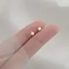 Pendientes Clásicos de Perlas Pequeñas para Mujer, Nicho, Sencillos, Ligeros y Lujosos, Elegantes, No Necesitan Quitarse al Dormir, Pendientes Versátiles y Exquisitos